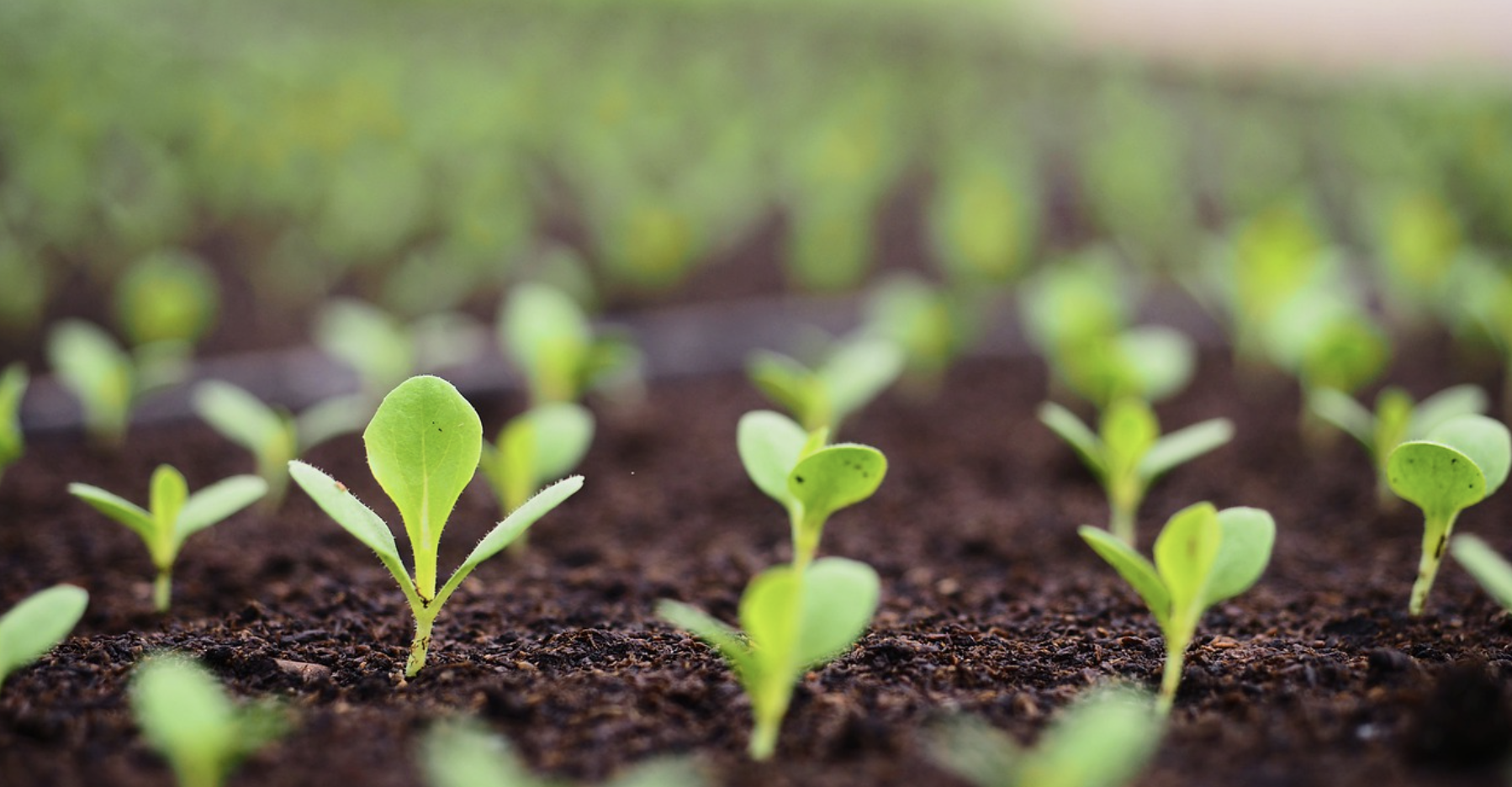 鼎泰恒勝設(shè)備助力第三次全國土壤普查